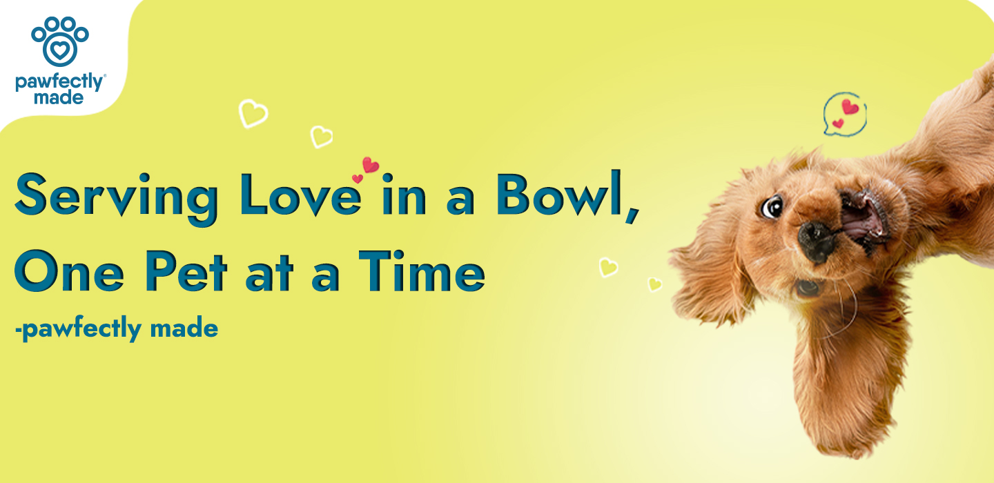 Serving Love in a Bowl, One Pet at a Time